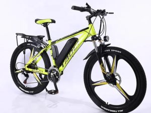 Xe đạp trợ pin BEL-008