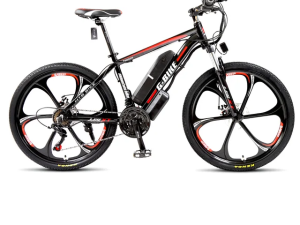 Xe đạp trợ pin BEL-002