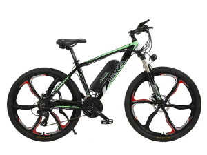 Xe đạp trợ pin BEL-003