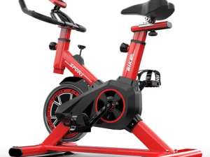 Xe đạp thể dục 004