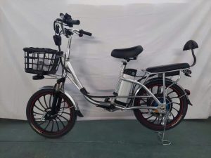 Xe đạp trợ pin EVBIKE-E03