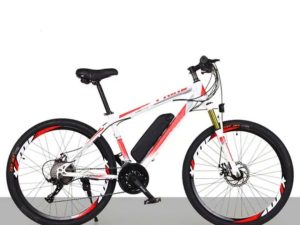 Xe đạp trợ pin BEL-012