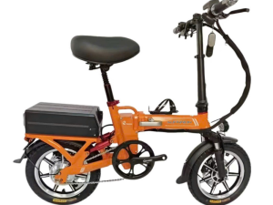 Xe Đạp Trợ Pin Gấp Gọn EVbike X25
